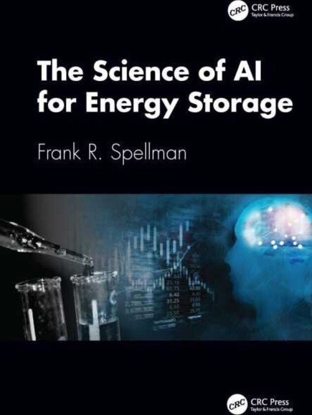 The Science of AI for Energy Storage