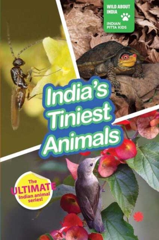 India's Tiniest Animals