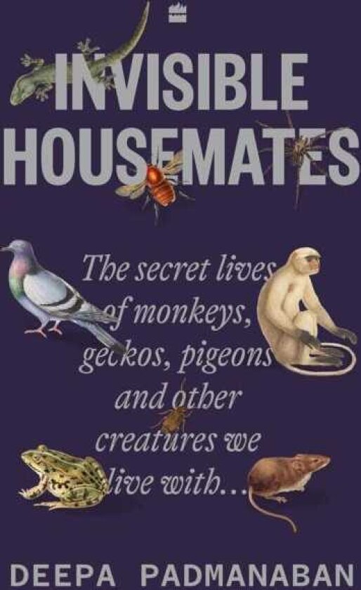 Invisible Housemates