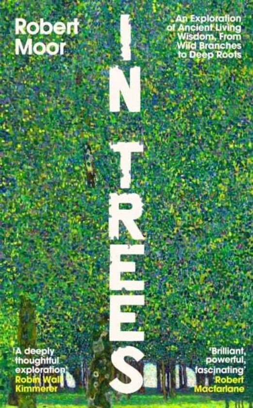 In Trees An Exploration of Ancient Living Wisdom, from Wild Branches to Deep Roots