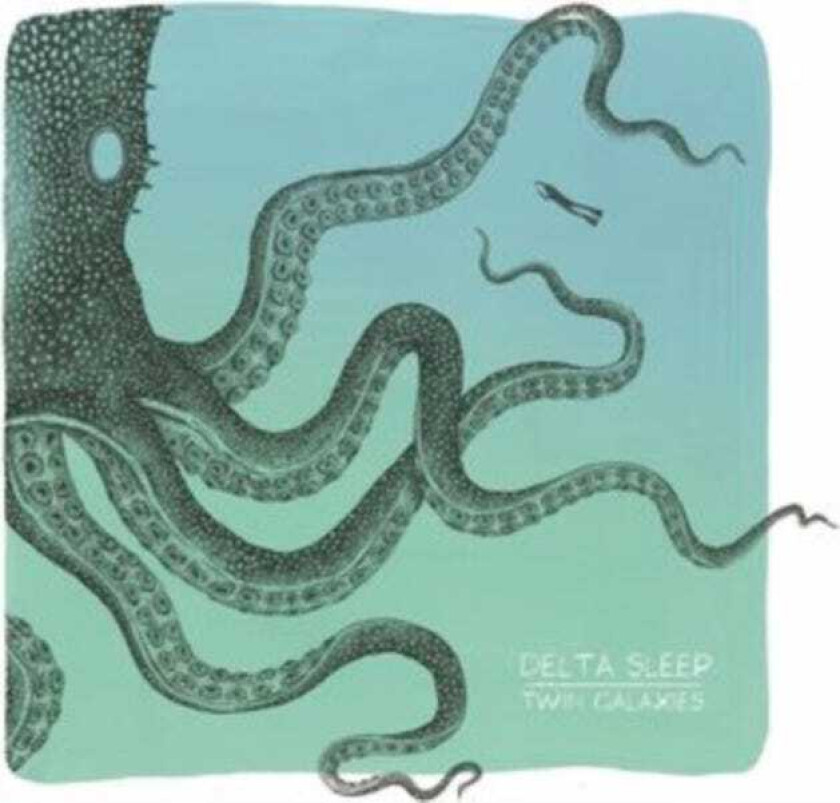 Delta Sleep Twin Galaxies LP/Vinyl