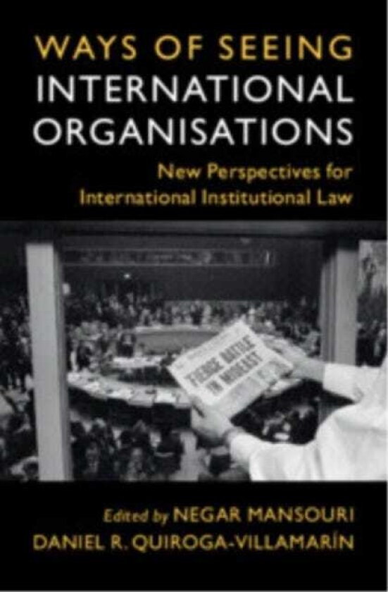 Ways of Seeing International Organisations New Perspectives for International Institutional Law