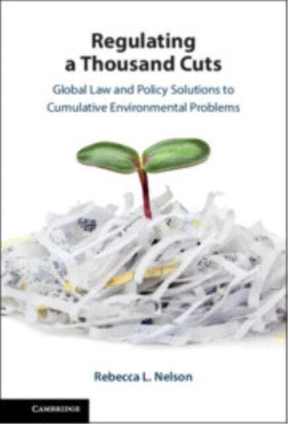 Regulating a Thousand Cuts Global Law and Policy Solutions to Cumulative Environmental Problems