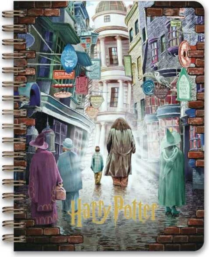 Harry Potter: Magical Places 12Month Undated Planner