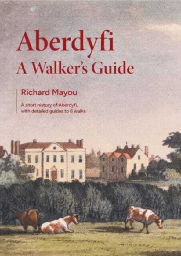 Aberdyfi A Guide Book
