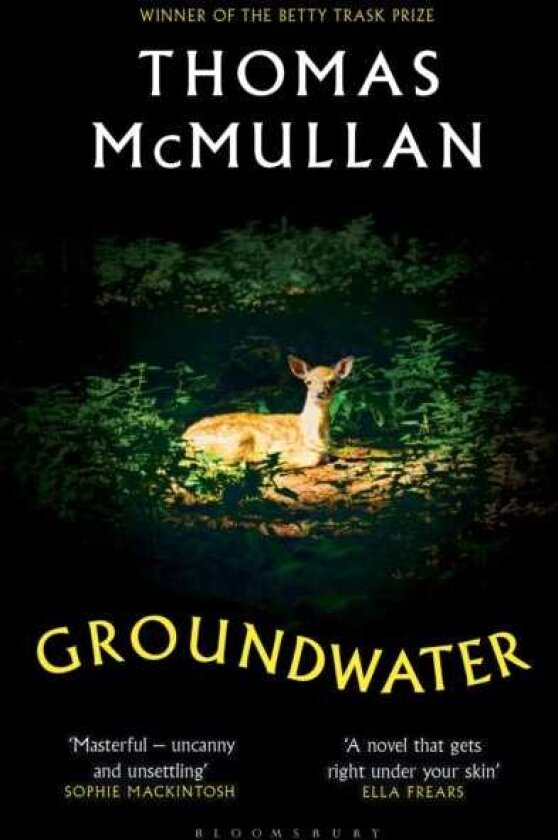 Groundwater ‘Complex, chilling, masterful' Financial Times