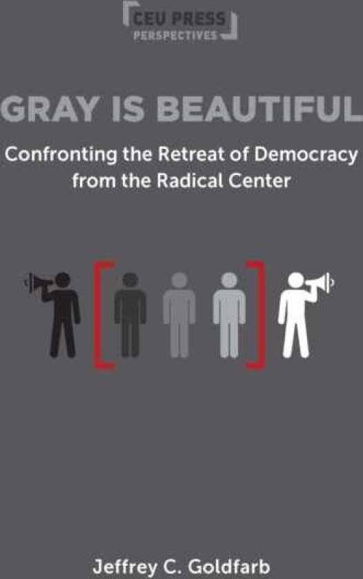 Gray is Beautiful Confronting the Retreat of Democracy from the Radical Center