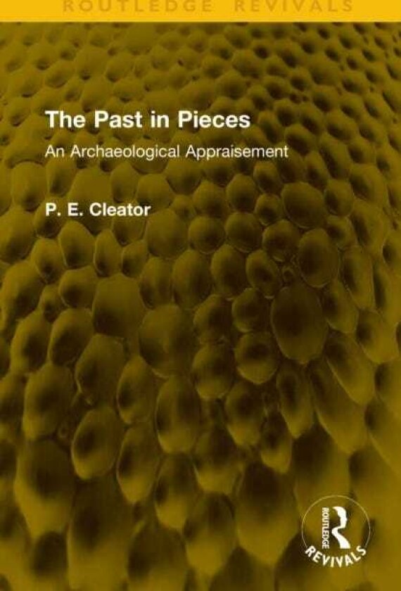 The Past in Pieces An Archaeological Appraisement