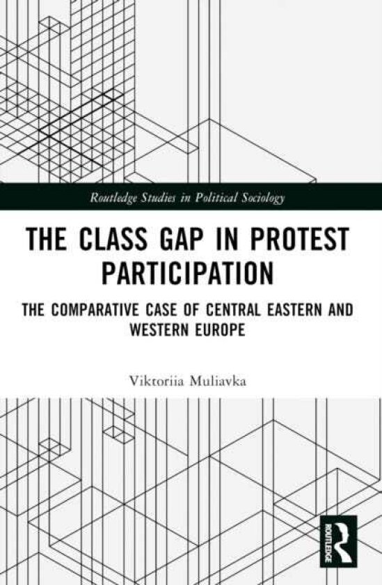 The Class Gap in Protest Participation The Comparative Case of Central Eastern and Western Europe