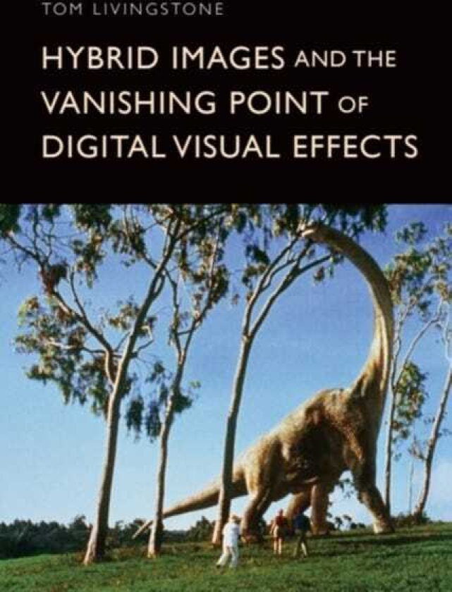 Hybrid Images and the Vanishing Point of Digital Visual Effects