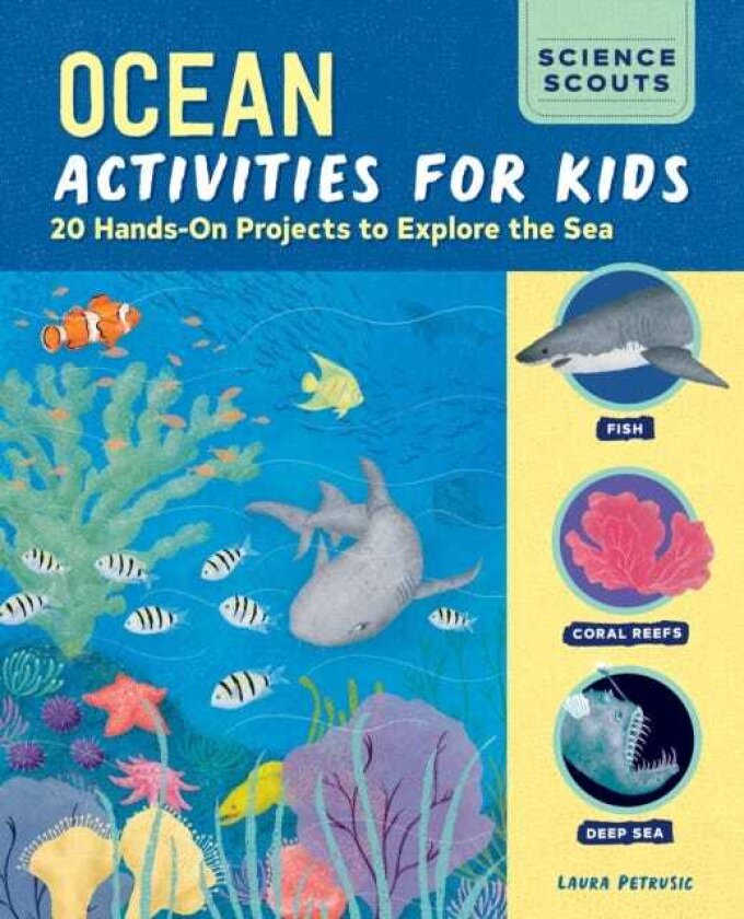 Ocean Activities for Kids 20 HandsOn Projects to Explore the Sea