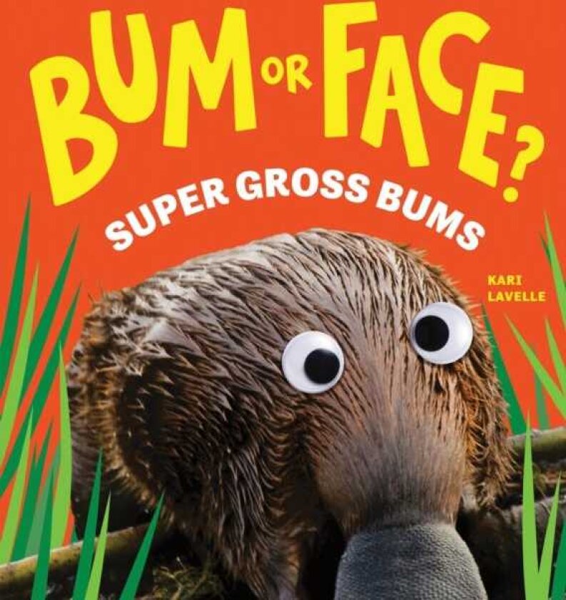 Bum or Face? Volume 3 Super Gross Bums