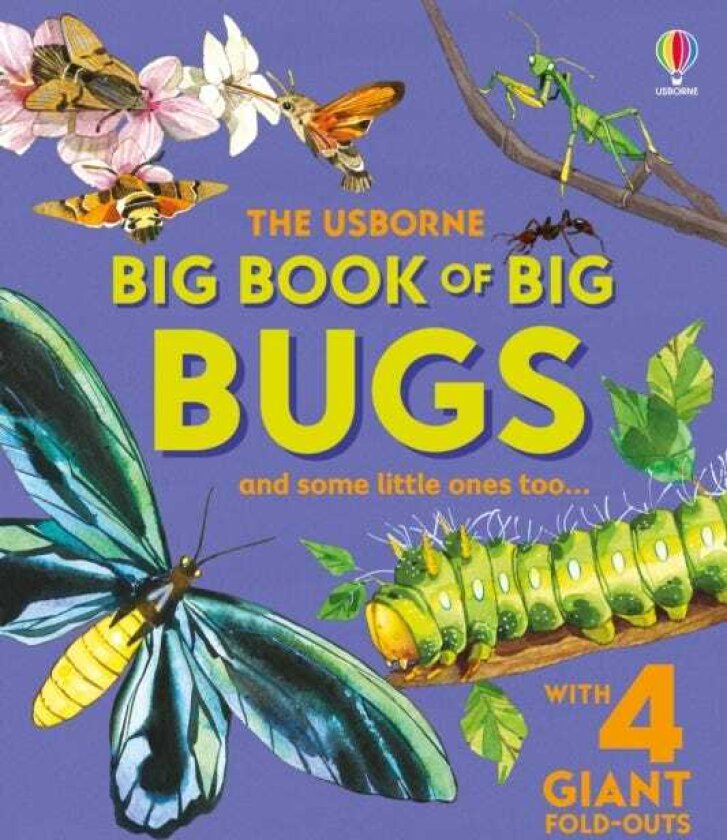 Big Book of Big Bugs