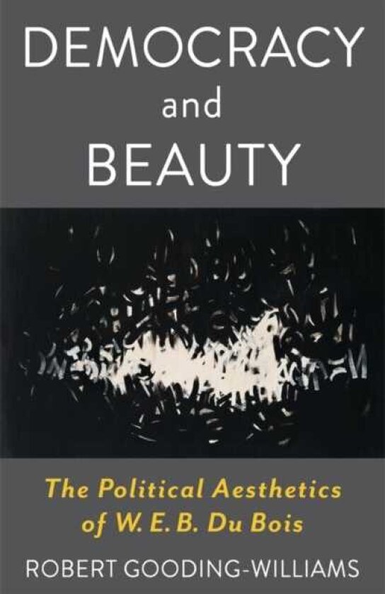 Democracy and Beauty The Political Aesthetics of W. E. B. Du Bois