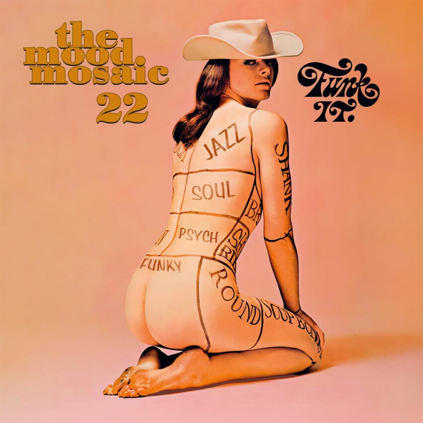 Diverse Artister Mood Mosaic 22 CD