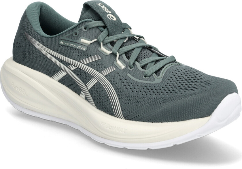 Gel-Cumulus 28 Herre Dusty Fern/Ivory