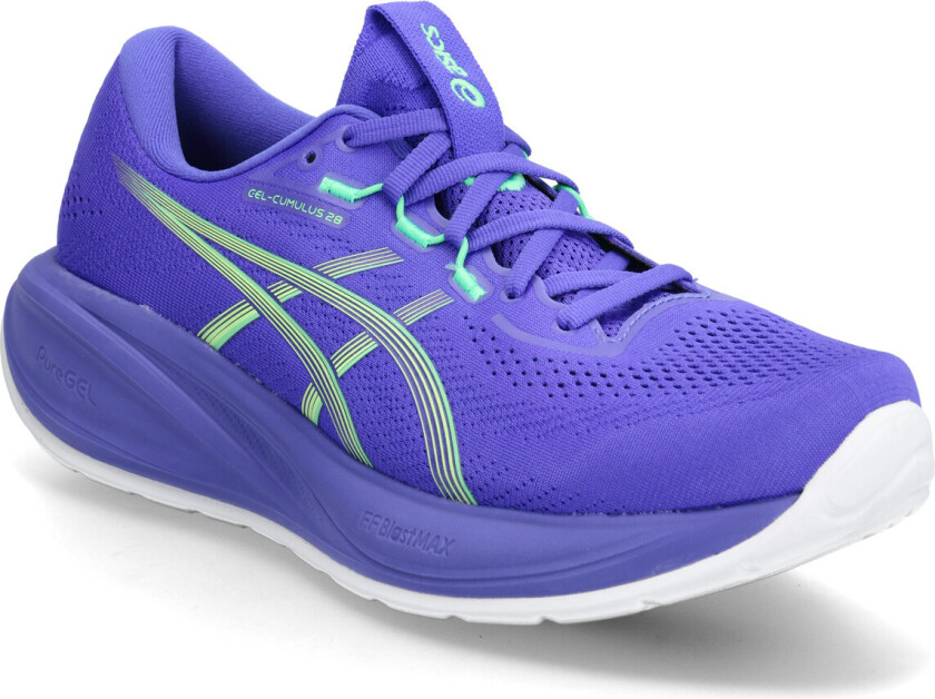 Gel-Cumulus 28 Herre Cobalt Burst/Illuminate Green