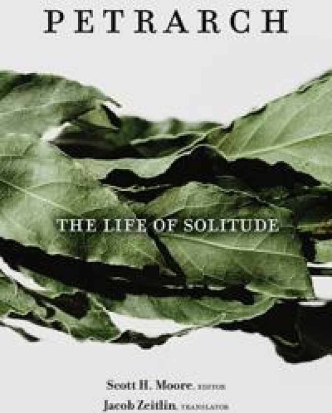 The Life of Solitude