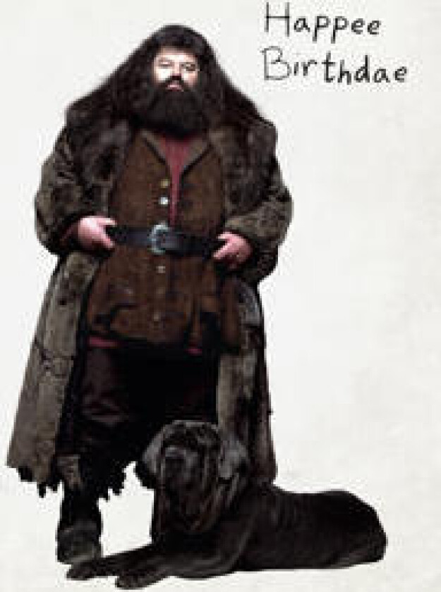 Harry Potter: Hagrid's Cake Pop-Up Card