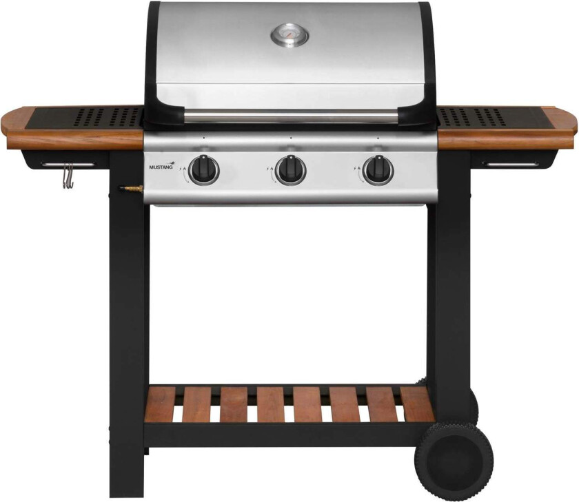 Gassgrill Greenville 3