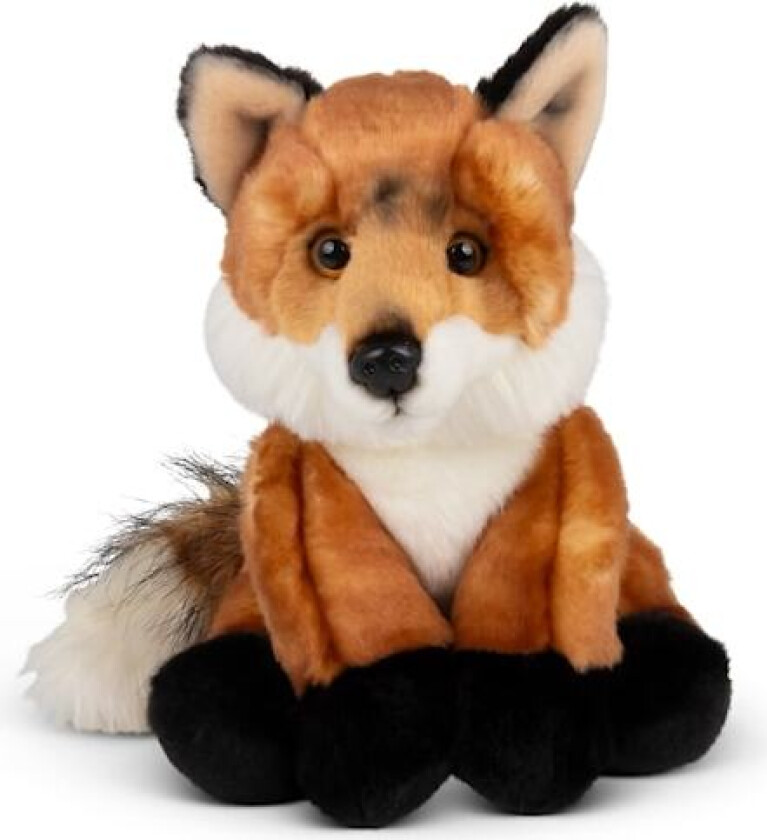 Animigos World Of Nature Rev