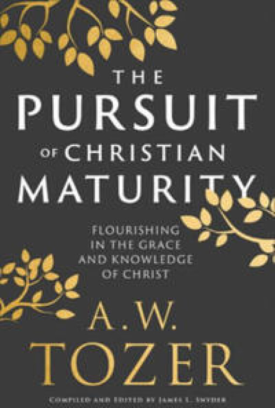 The Pursuit of Christian Maturity
