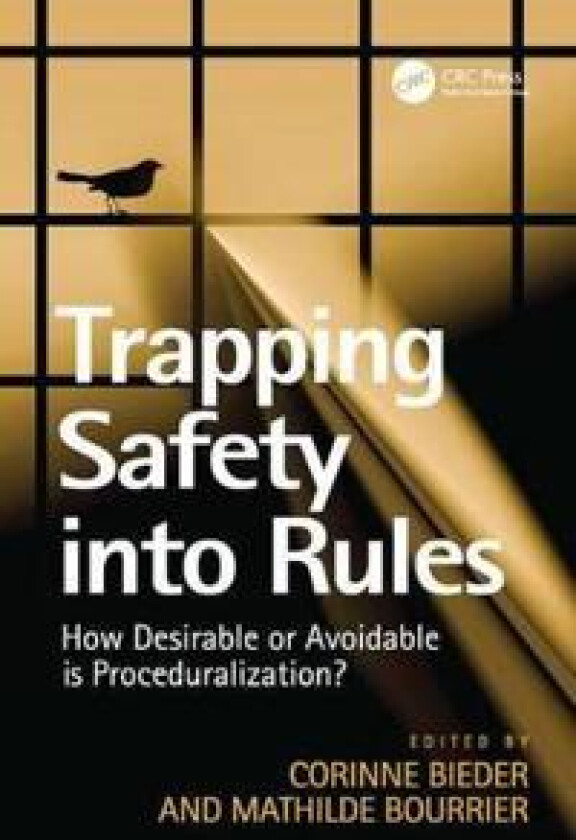 Trapping Safety into Rules