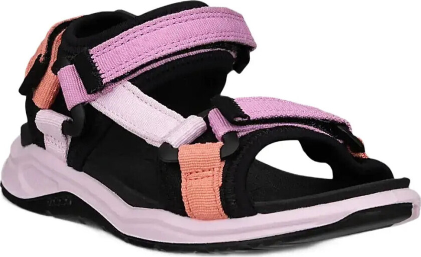 X-Trinsic K - Pink - 31