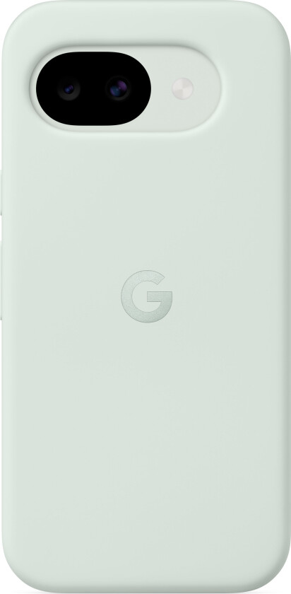 Case Pixel 10a Fog