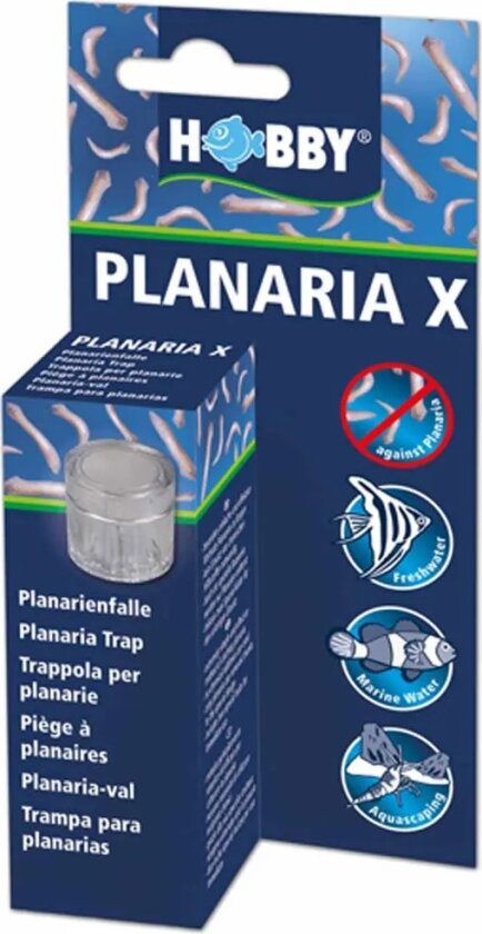 Hobby Planariafelle