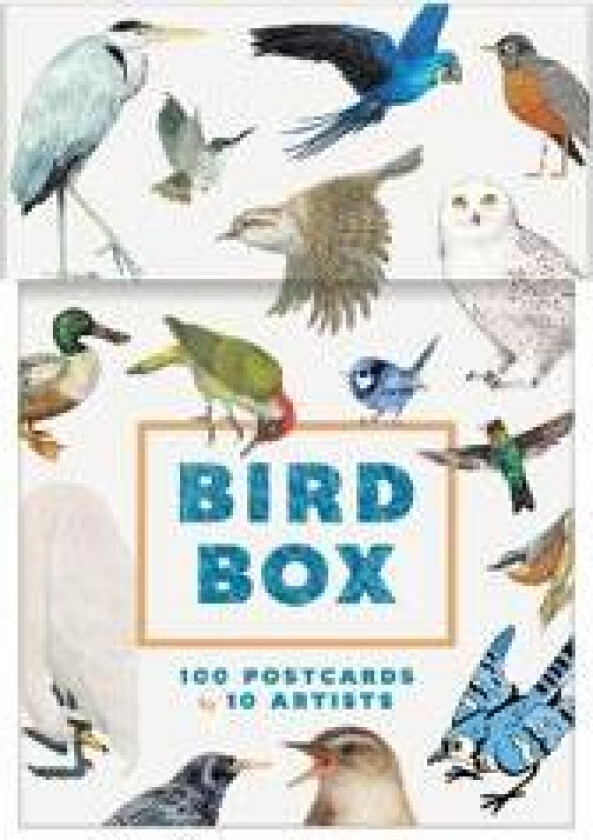 Bird Box: 100 Postcards by 10 Artists