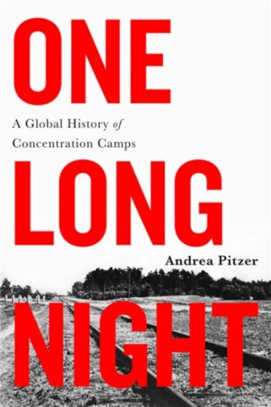One Long Night av Andrea Pitzer