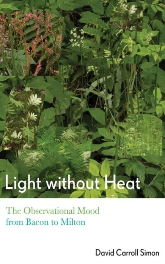 Light without Heat av David Carroll Simon