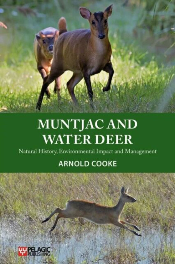 Muntjac and Water Deer av Arnold Cooke