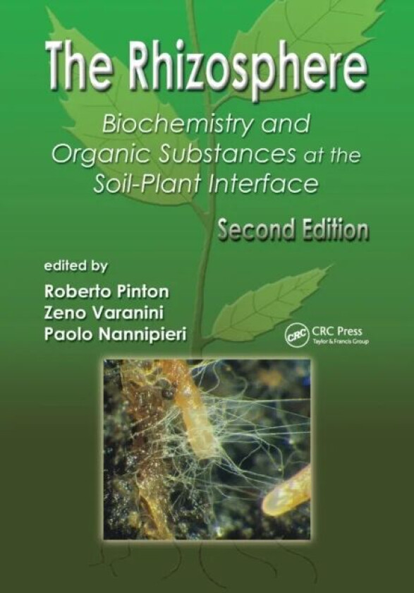 The Rhizosphere