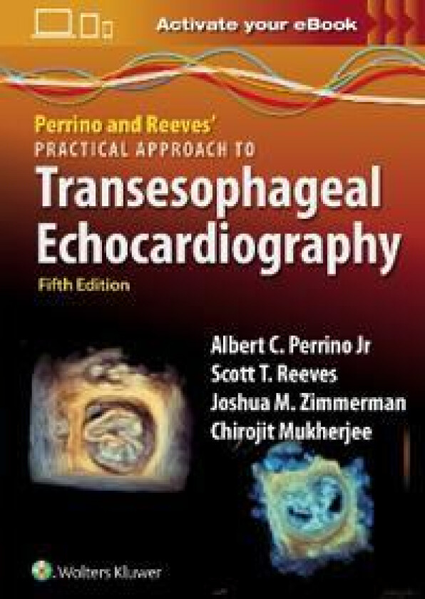 Perrino and Reeves' Practical Approach to Transesophageal Echocardiography