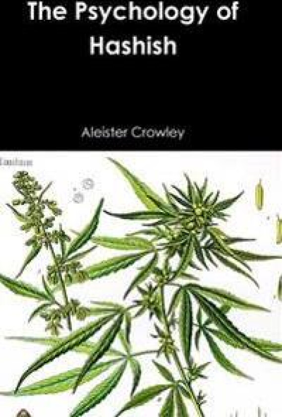 The Psychology of Hashish