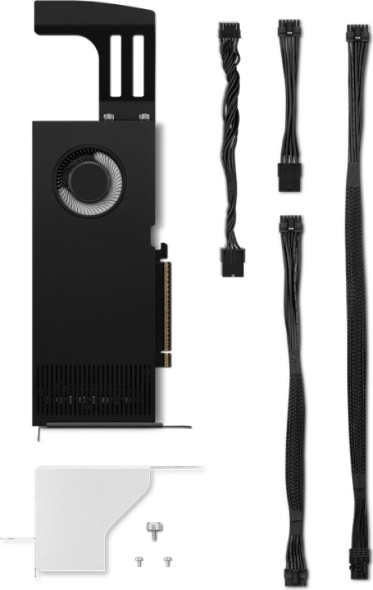 RTX PRO 4000 Blackwell - 24GB GDDR7 RAM - Grafikkort