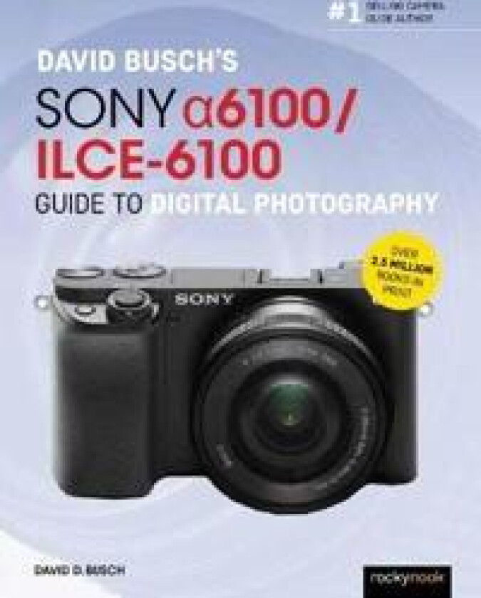 David Busch’s Sony Alpha a6100/ILCE-6100 Guide to Digital Photography