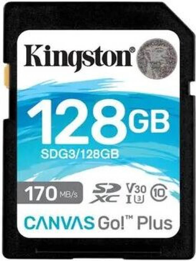 Canvas Go! Plus 128gb Sdxc Uhs-i Memory Card