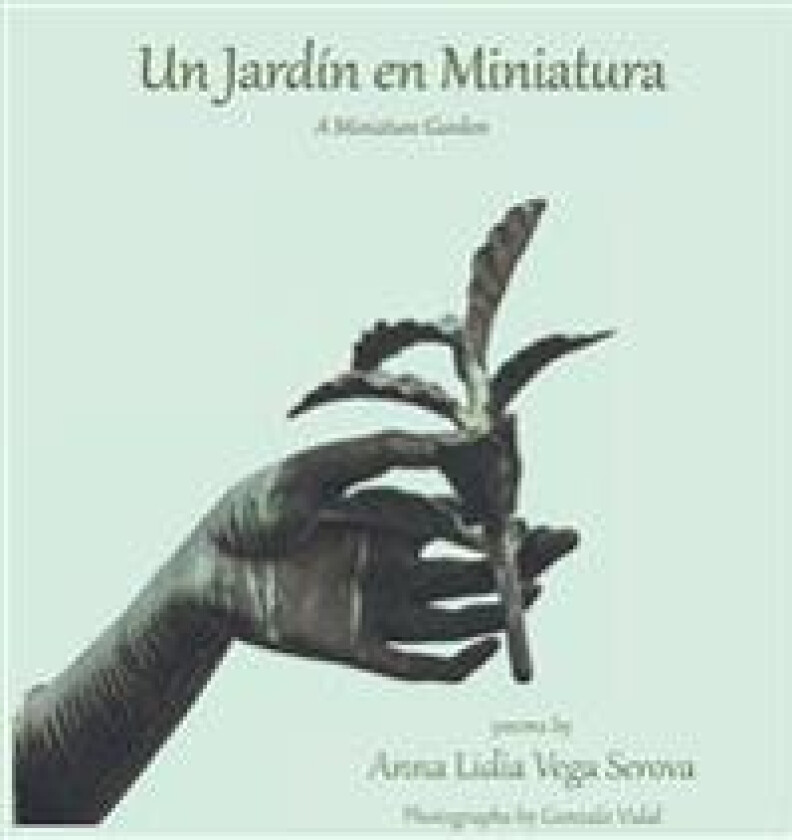 Un Jardín en Miniatura