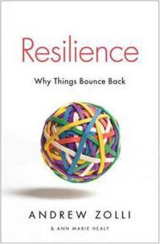 Resilience: Why Things Bounce Back