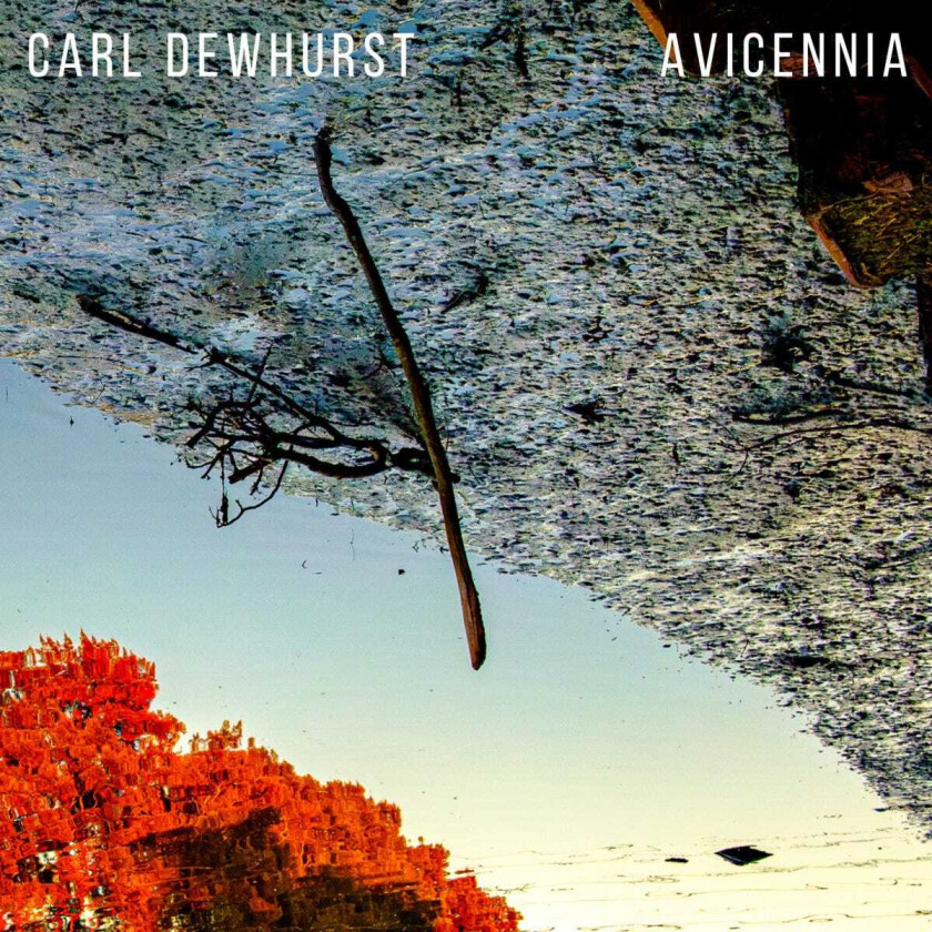 Carl Dewhurst Avicennia CD