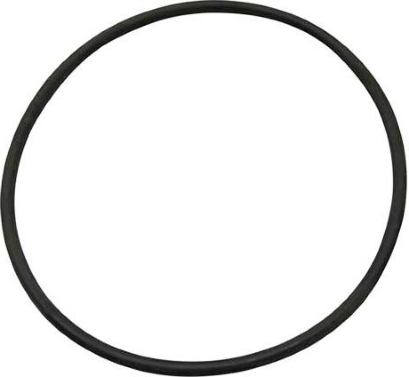 O-ring, 91x3,5