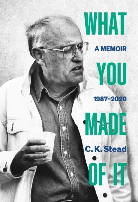 What You Made of It av C. K. Stead