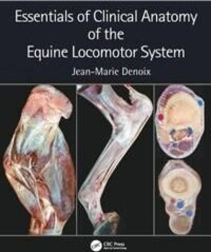 Essentials of Clinical Anatomy of the Equine Locomotor System av Jean-Marie (Centre for Imaging and Research in Locomotor Problems in Horses Goustranv