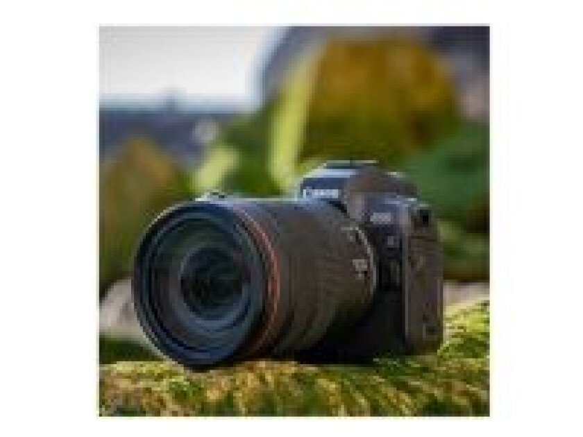 RF - Zoom-linse - 24 mm - 105 mm - f/4.0 L IS USM - RF - for EOS RF Mount