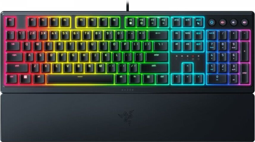 Ornata V3