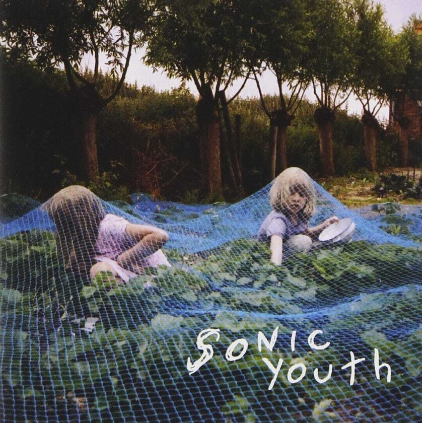 Sonic Youth Murray Street LP/Vinyl