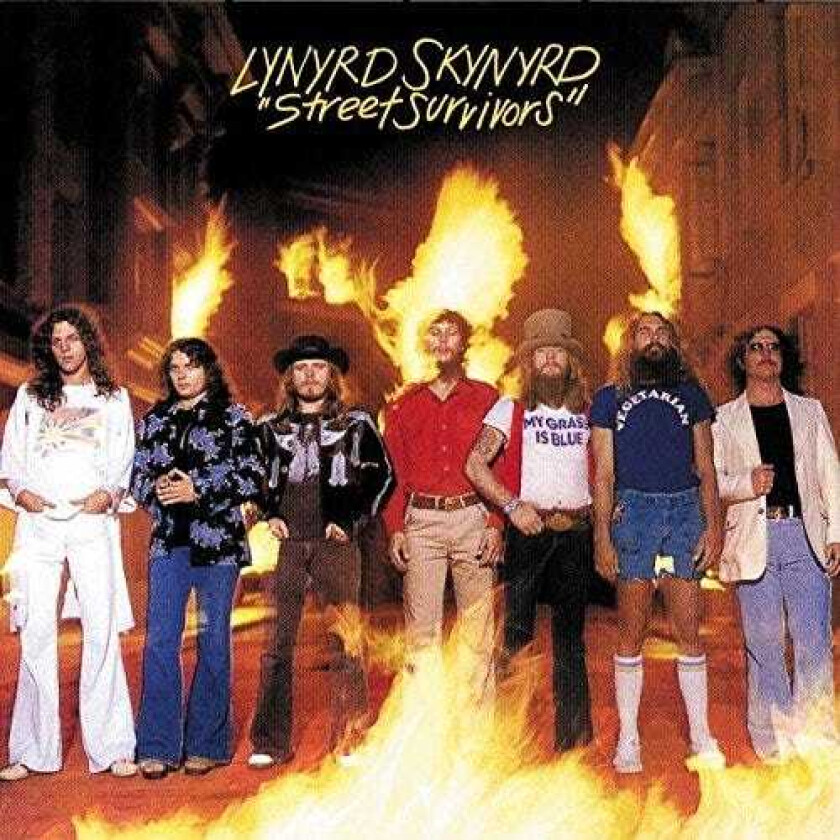 Lynyrd Skynyrd Street Survivors LP/Vinyl